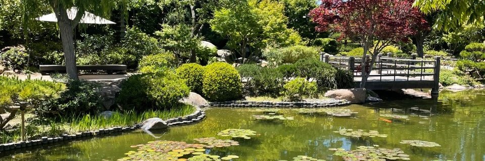 csulbgarden's profile banner image