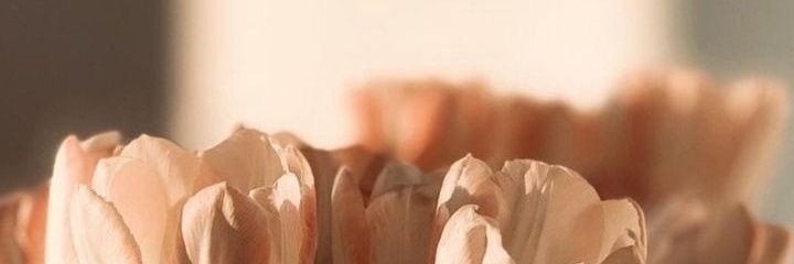 firdafee's profile banner image