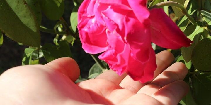 MariMnguez's profile banner image