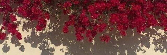LauraPiruleta16's profile banner image