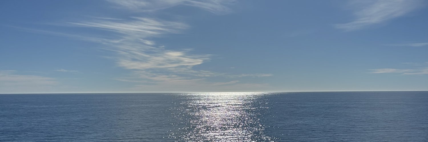sydneysinclairr's profile banner image