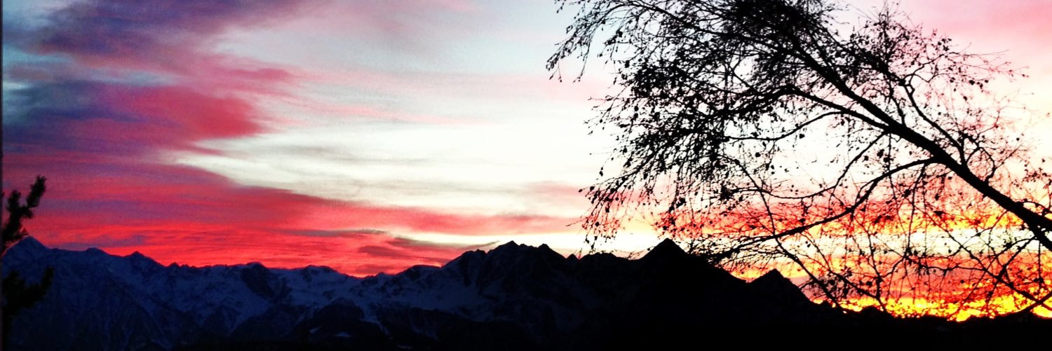 FOltolina's profile banner image