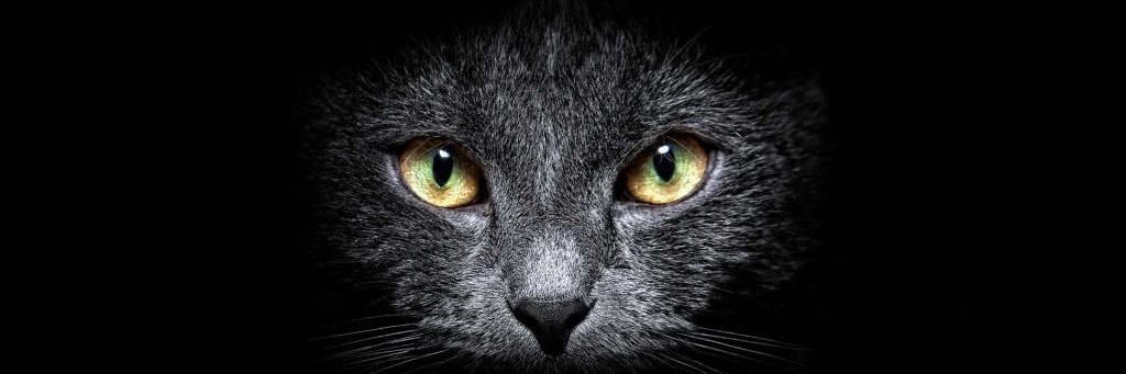 Tiago_PeB's profile banner image