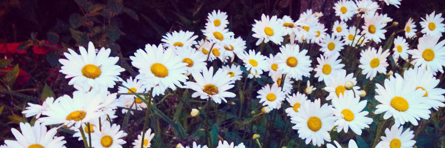 __saramar_'s profile banner image