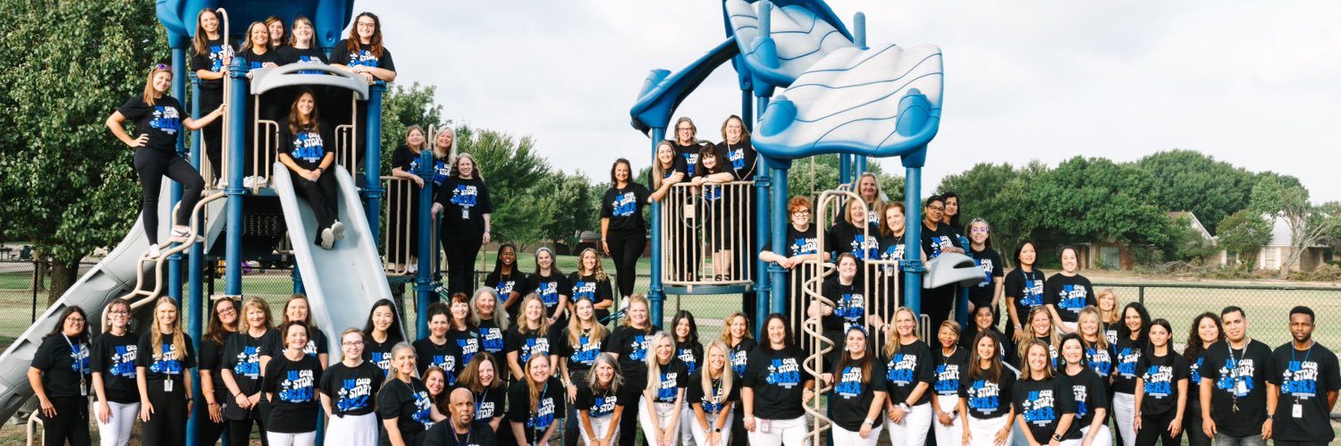 Story Falcons banner