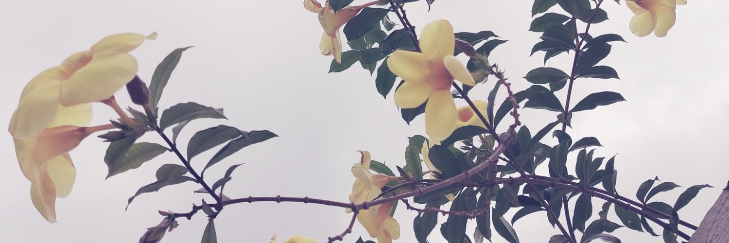 Daniel Merchán Pástor banner