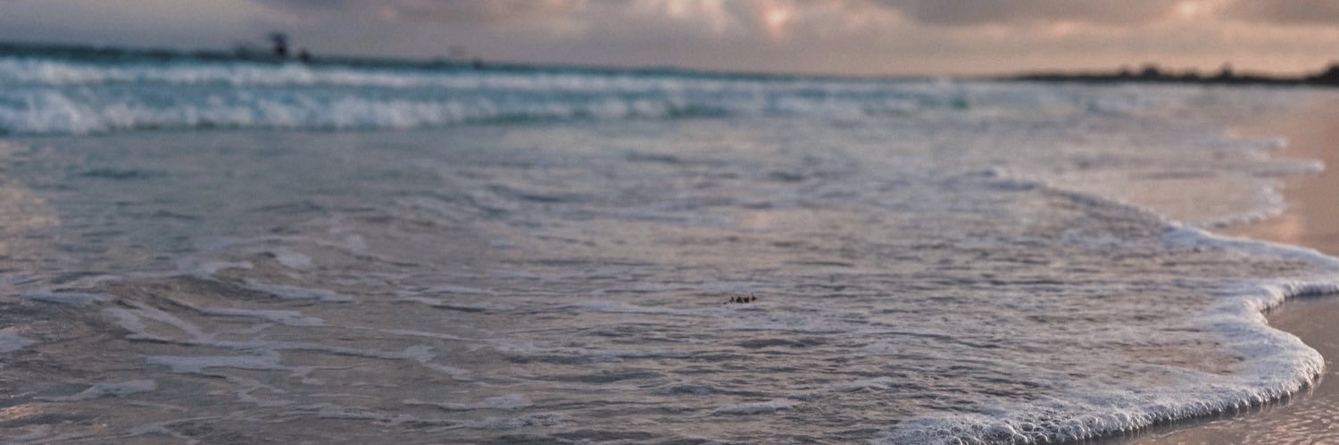 DanielaBriito's profile banner image