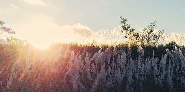 rahardianargo's profile banner image