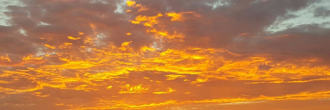 🖤𝕸𝖆𝖓𝖚🩶 banner