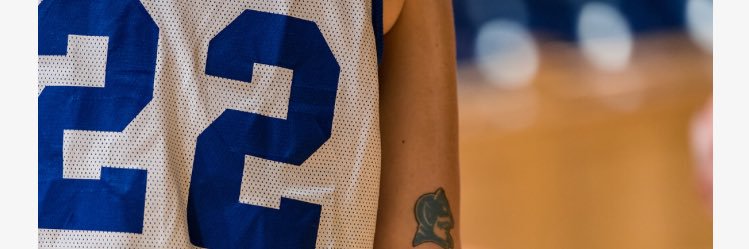 Sarah Goswick banner