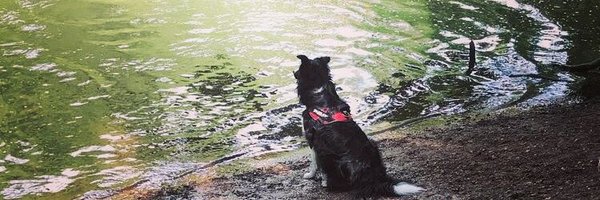 FlushToJack Profile Banner
