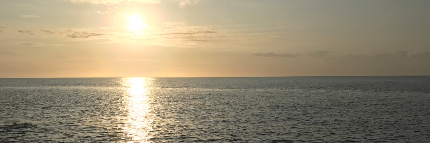 InesFiezzi's profile banner image