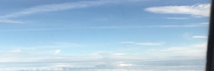 fiona_caseyy's profile banner image