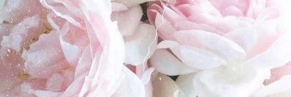 bdanae__'s profile banner image
