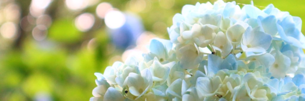 aaayupiii's profile banner image