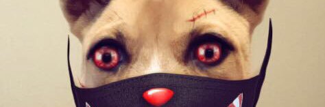 malikfoster2's profile banner image