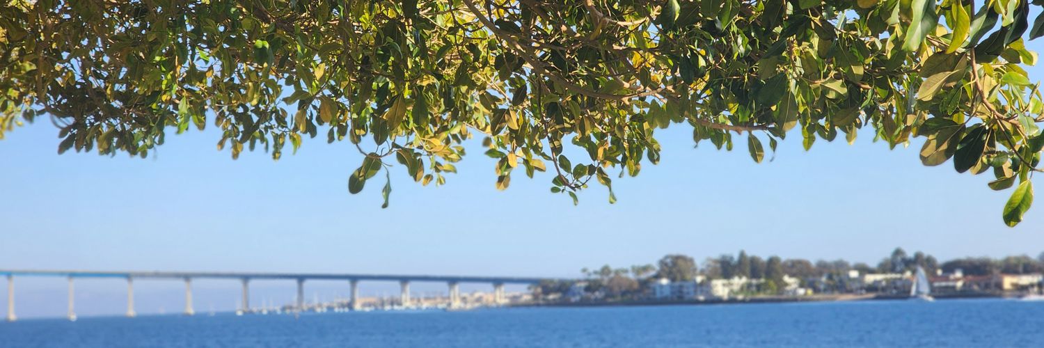 Sarah_Aly's banner