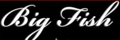 azbigfish's profile banner image