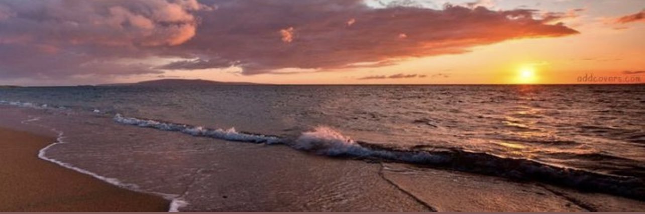 Luana Careaga banner