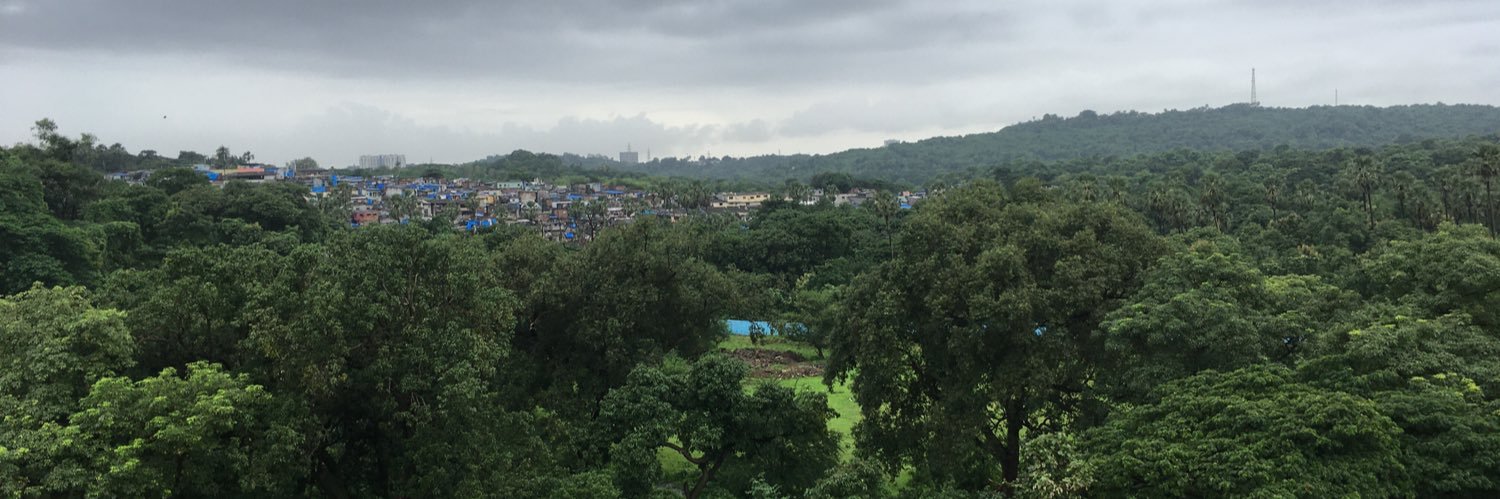 mannarora's profile banner image