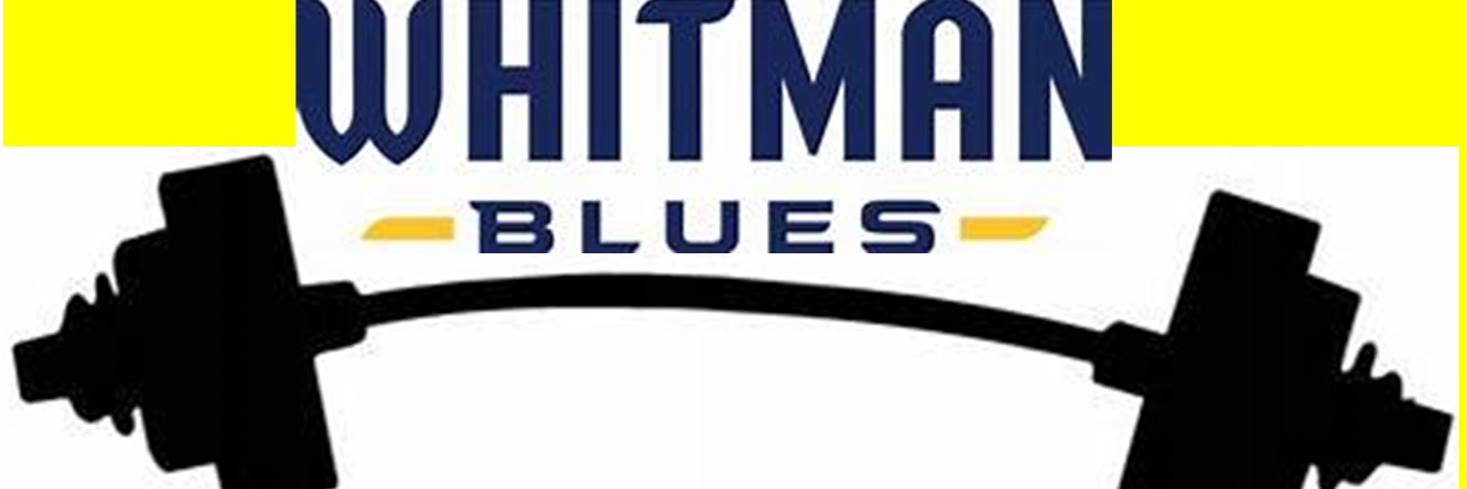 Jocelyn Philip Awe banner