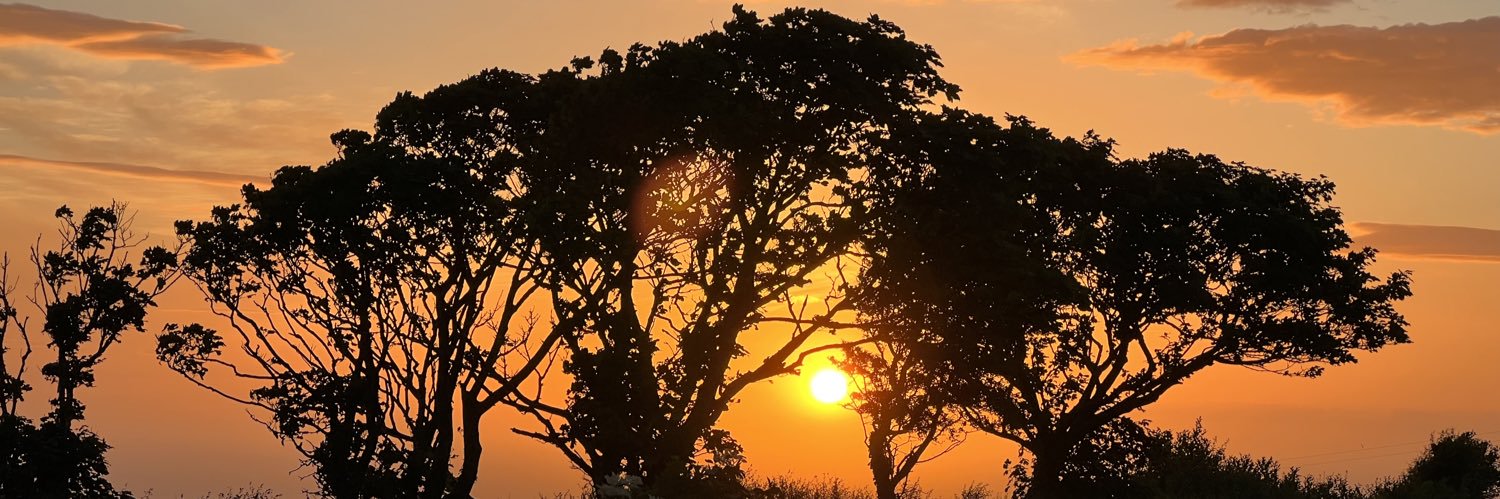 Richard Hawton banner