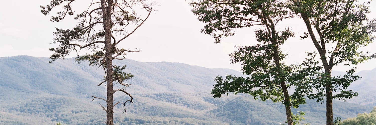 DannyNotJunior's profile banner image