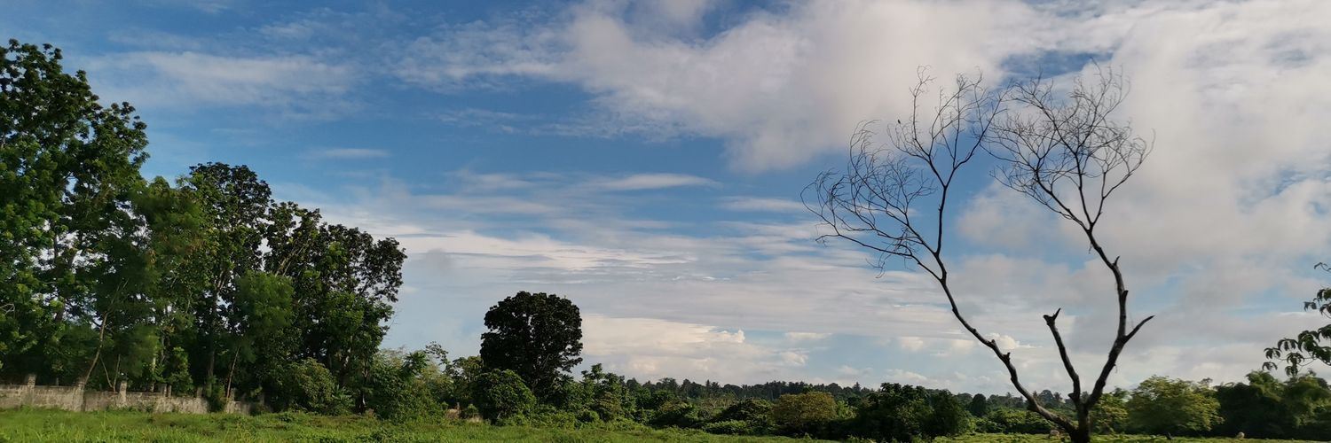 erdgarcia's profile banner image