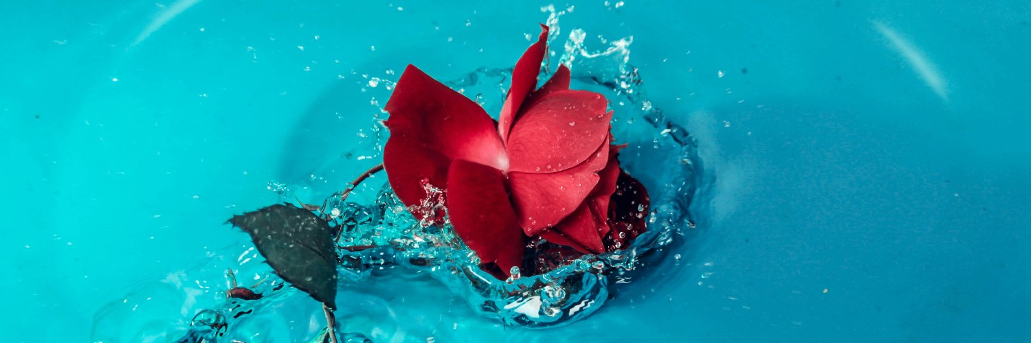 evavol_eva's profile banner image