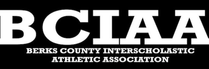 BCIAASports banner
