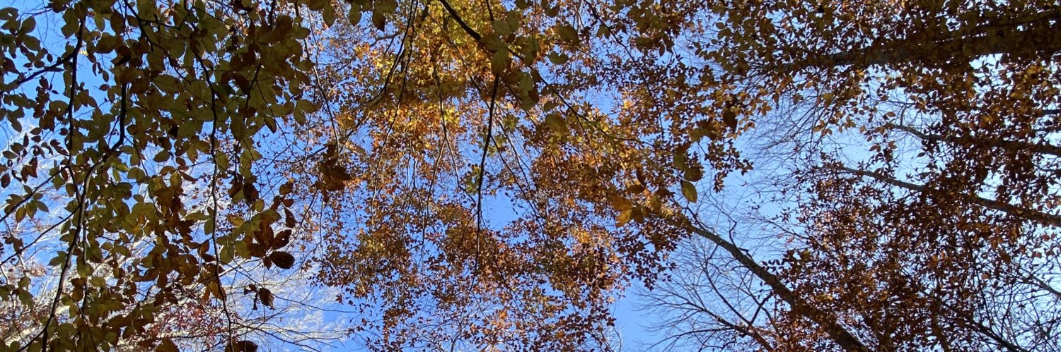 Robertlewis3968's profile banner image