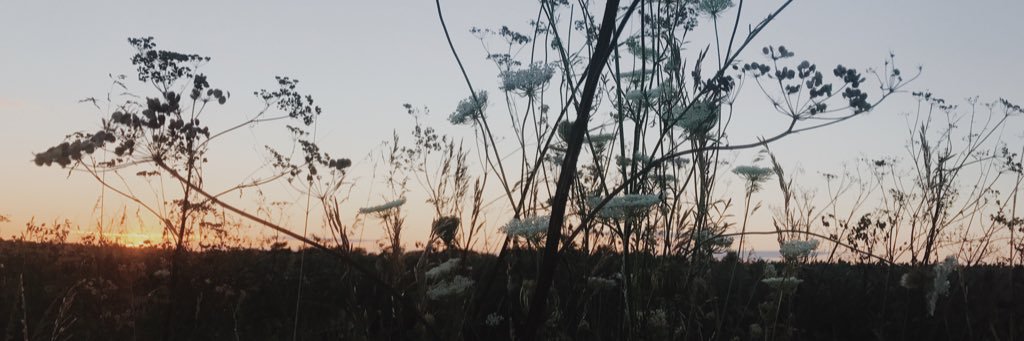 hunterreed_'s profile banner image