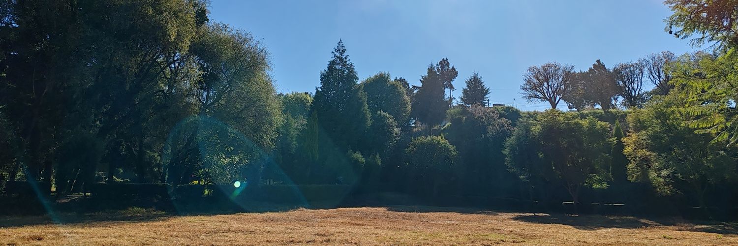 kikemeneses0's profile banner image