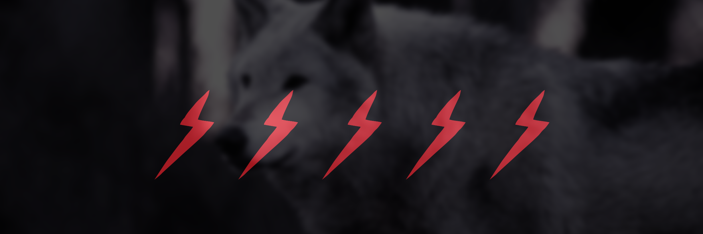 surplus goods banner