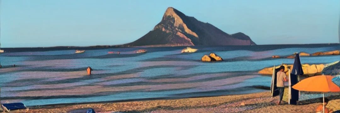 Francesco Lossani banner