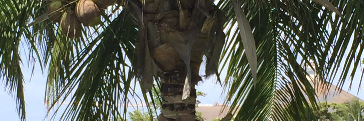 Chelsea O’Meally banner