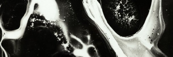 ❀ CAMILLE ❀ banner