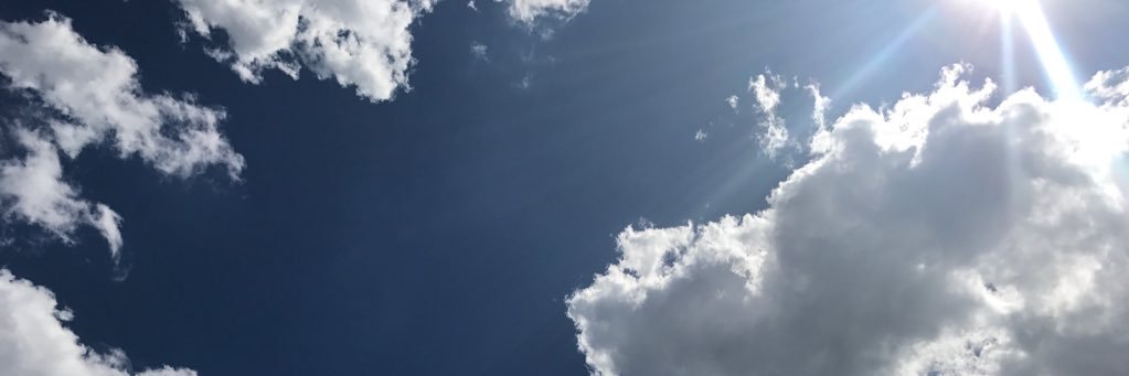 sarahmarksberry's profile banner image