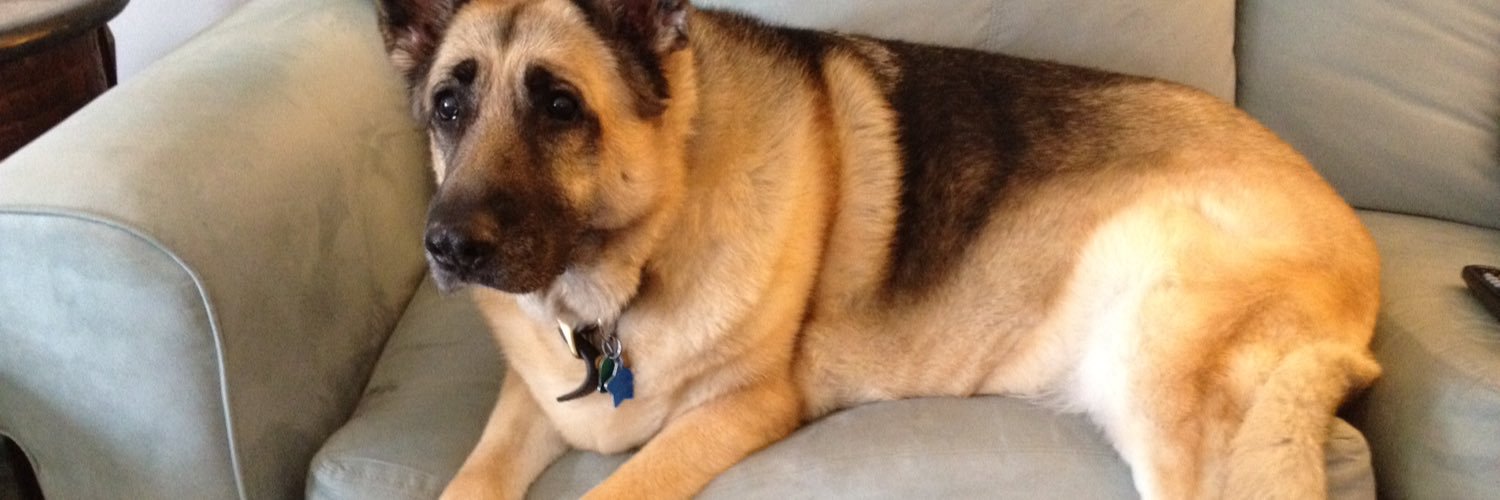 gordon porter banner