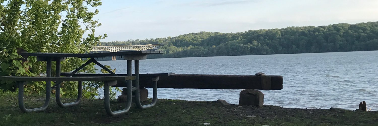 SharkeyShane's profile banner image
