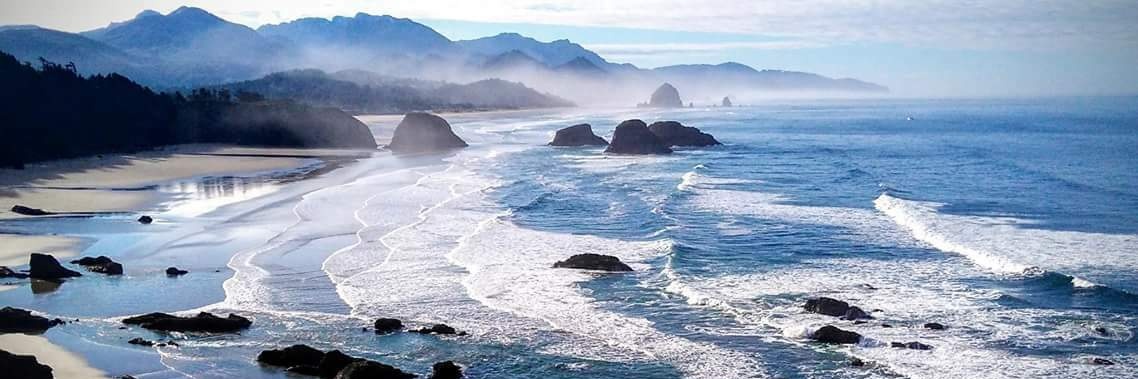 Michelle Miller banner