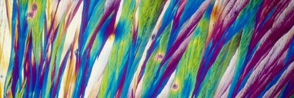 djAPSARA Profile Banner