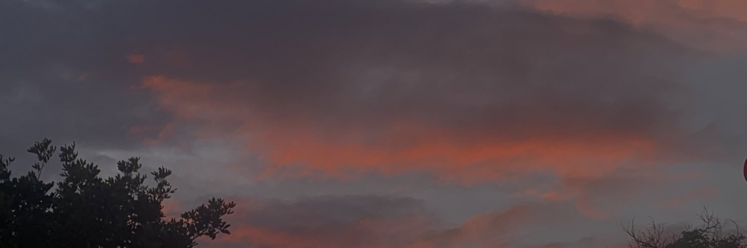 elysethoms's profile banner image