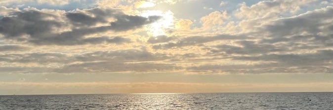 ✨ Dujapsorn banner