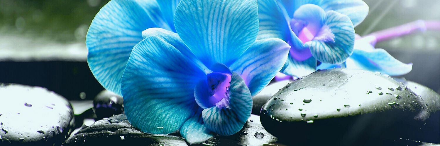 becky_mello's profile banner image
