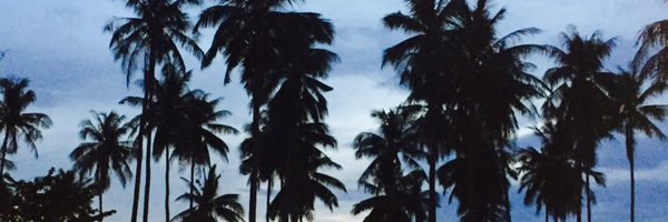 CatBanks86 Profile Banner