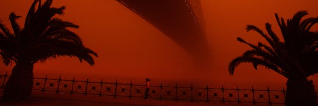 Shaun H banner