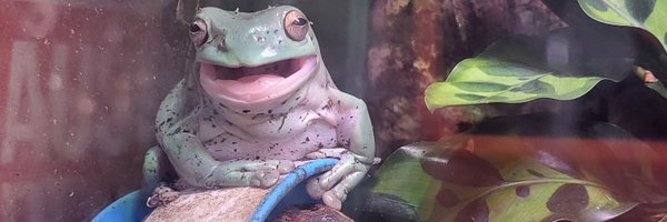 Zebra425 Profile Banner