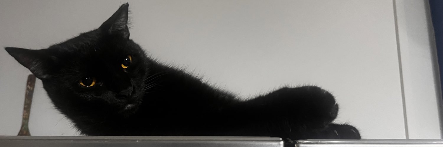 firstfairytale's profile banner image