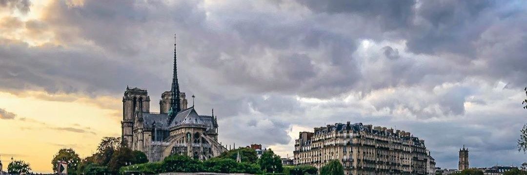 cielfr's profile banner image